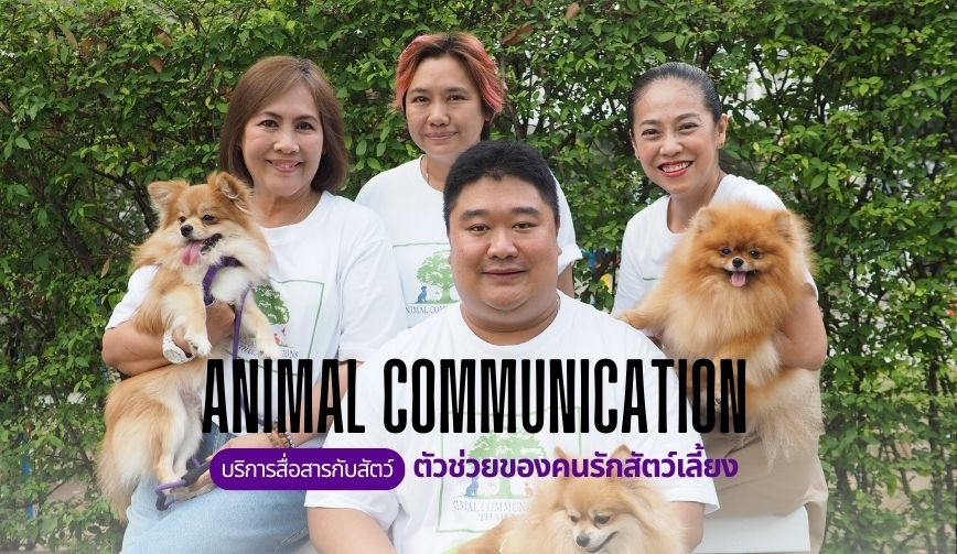 Animal Communication