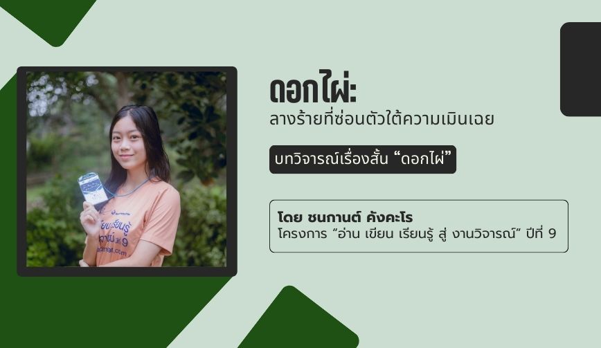 ดอกไผ่: ลางร้ายที่ซ่อนตัวใต้ความเมินเฉย